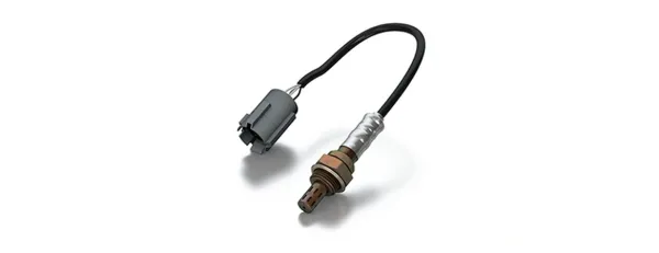 image Kopie 3